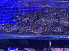 -青蓬蒸汽海鲜·深圳老字号·团建聚会(壹方城店)