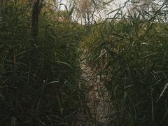 -绿堤公园