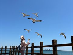 -长岛南北长山旅游景区