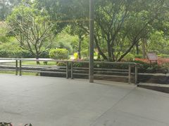 -南宁荔园维景国际酒店·荔园中餐厅