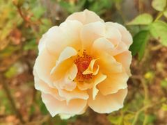 -北京植物园南门售票处