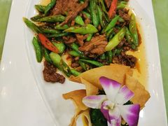 -中国饭店-餐厅