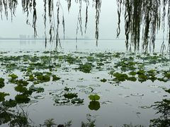 -阳澄湖费尔蒙酒店