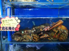 -蚝专家(北滘店)