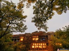 -三里屯东五街银杏大道