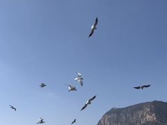 -海埂大坝