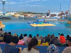 -秦皇岛乐岛海洋王国