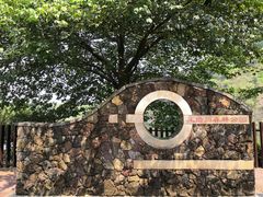 -王借岗森林公园