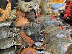 -乔哥铭洋海鲜自助(皇城恒隆广场店)