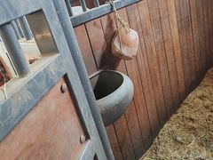 -北京群众马术培训基地