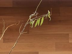 -山下C5cafe(惠通时代广场店)