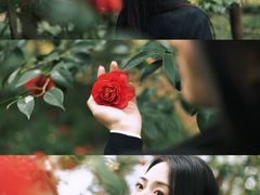 -蜀冈西峰生态公园