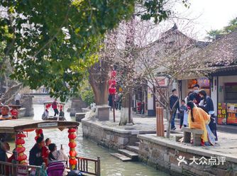 不出沪来看桃红柳绿的水乡