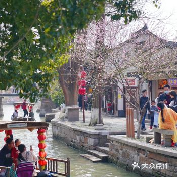 不出沪来看桃红柳绿的水乡