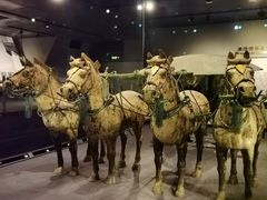 -秦始皇帝陵博物院-丽山园