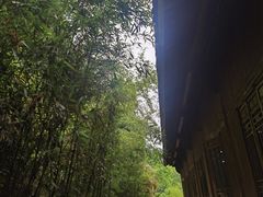 -东天目山风景区