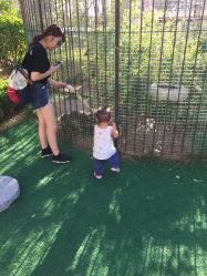 -萌宠亲子动物乐园(槐房万达店)