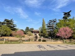 -国家植物园南园