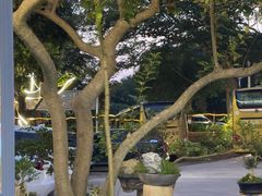 -罗浮山·罗园农庄