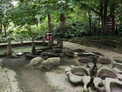 -成都市活水公园
