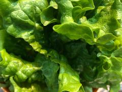 -齐齐哈尔炭匠烤肉(福城上上城店)