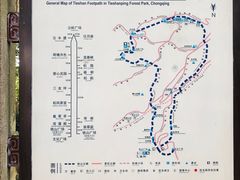 -铁山坪森林公园