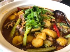 甲鱼-高坎一品甲鱼庄(两河店)