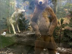 -国家自然博物馆