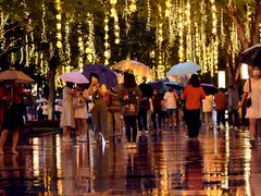 -西安赛瑞喜来登大酒店