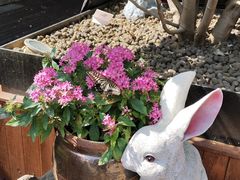 -永和大王(春日上新·白广店)