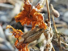 -长春公园(普阳街道)