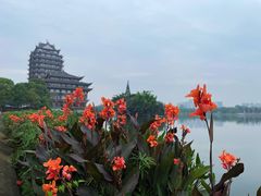 -眉山湿地公园(东坡区)