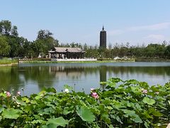-西海子公园