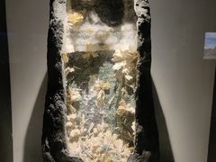-重庆自然博物馆(新馆)