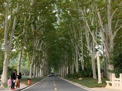 -河南省黄河迎宾馆