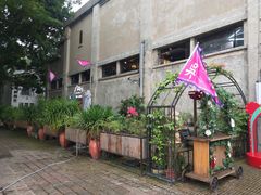 -more than meow吴止猫主题餐厅(承德 中船汇店)