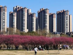 -长广溪湿地公园