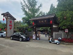 -青城甲(青城山店)