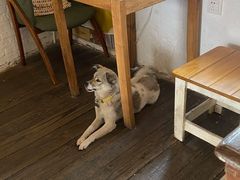 -春风十里咖啡馆