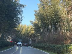-池州市平天湖风景区
