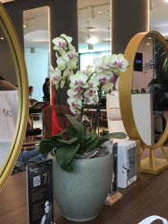 -意廊 Hair Salon