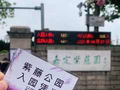 -嘉定紫藤园