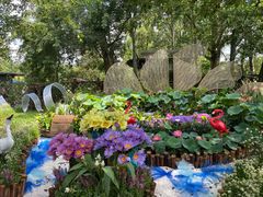 -中国科学院华南植物园