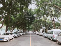-四川大学(望江校区)