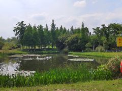 -白鹭湾湿地公园