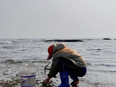 -日照灯塔风景区