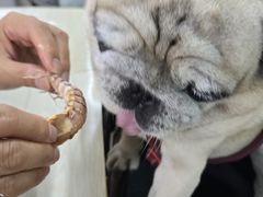 -桃源市场(解放路店)