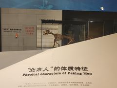 -北京周口店北京人遗址博物馆