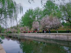 -元大都城垣遗址公园