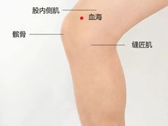 -裕和堂中医推拿艾灸(太古汇臻品店)